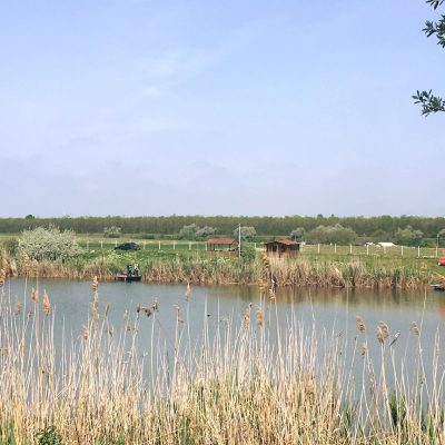 balta-canalul-vechi-medgidia-6