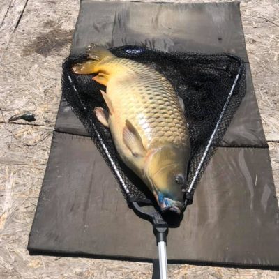 capturi-balta-canalul-vechi-medgidia-1