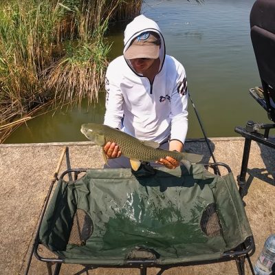 capturi-balta-canalul-vechi-medgidia-16